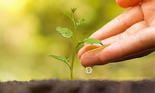 Cabinet de kinésiologie
